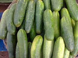 Cucumbers require plenty of fertilizer. Cucumber Fertilizer What Type Of Fertilizer To Use On Cucumber Plants