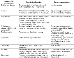 cell chart animal cell general biology science