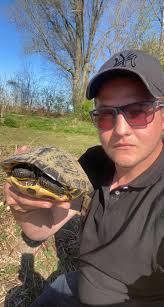 Turtles lined up at Watson Lake