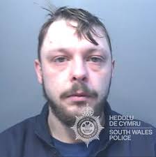 Swansea man jailed for rape and sexual offences