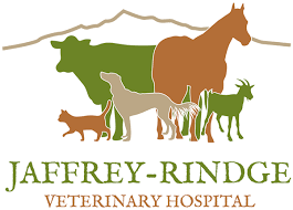 Our practice loves all animals! Veterinarian In Jaffrey Local Vet Jaffrey Rindge Veterinary Hospital