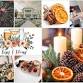 Sips and Stems-Holiday Citrus Centerpiece + Tipsy event image