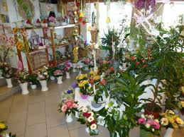 We did not find results for: Uber Uns Blumenparadies