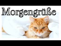 Schonen Guten Morgen Liebe Grusse Von Mir Zu Dir Youtube Guten Morgen Gruss Liebe Guten Morgen Grusse Guten Morgen Grusse Kostenlos