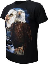 Amerikaanse zeearend tijdens de vlucht. Bol Com Bald Eagle Amerikaanse Zeearend Adelaar T Shirt Zwart