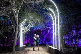 Enchanted Forest Of Light La Canada Flintridge Calif Arkitektur Inspo
