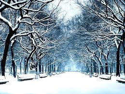 Collection by tayira mora black • last updated 2 weeks ago. Hd Wallpaper Other Winter Winter Season Nature Winter Hd Art Wallpaper Flare