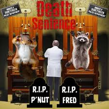 Episode 66: PNut the Squirrel ‑ LissN Kristi ‑ Apple Podcasts