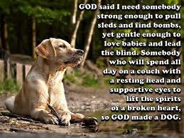 And God Made A Dog Home Facebook