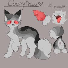 Rule34 US