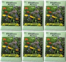Amazon Com Valley Greene 6 Pack 300 Mg Package Wildflower Mixture Heirloom Variety Seeds Garden Outdoor Wild Flowers Outdoor Gardens Seeds