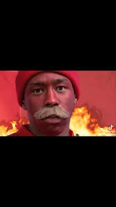 Follow @wolf.haleyyy for more, •, • , •, Use code “WOLFHALEY” when using  @seatgeek for $20 off, •, #tylerthecreator #earlsweatshirt #oddfuture #vans  #loitersquad #wangsap #frankocean #funny ...