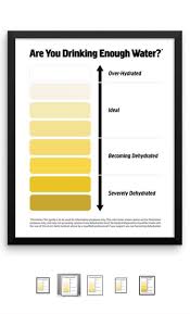 Framed Urine Color Chart Pee Color Chart Water Intake