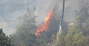 Bodrum güvercinlik'te 13 yıl önce çıkan orman yangınının ardından yeşillendirileceği söylenen araziye 5 yıldızlı otel dikildi. Bodrum Da Buyuk Yangin Takvim