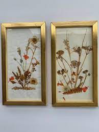 Wählen sie ihre nächste destination ! Home Living Dried Flower Arrangements Vintage Framed Dried Flowers Wall Hanging Home Decor Made In East Germany Pressed Flowers In Small Frame