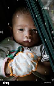 Hamac hi-res stock photography and images