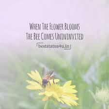 On the off chance that you are composing a birthday card message for your loved ones, make a point to utilize one of these estimations to wish them well. 100 Best Quotes For Flower Lovers Cute Whatsapp Status For Flower