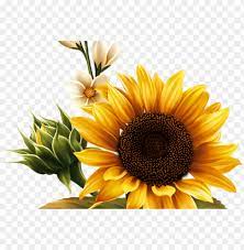 Choose from over a million free vectors, clipart graphics, png images, design templates, and illustrations created by artists worldwide! Kwiaty Png Flowers Png Sunflower Flag Clipart Png Image With Transparent Background Toppng