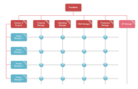 26 Rational Organizational Structure Chart Template Word