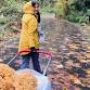 MUSHROOM MANIA: A FUNGAL FORAY event image