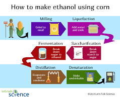 How Is Ethanol Made Let S Talk Science
