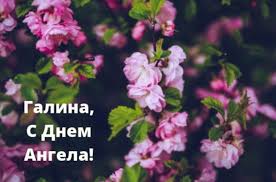 У вівторок, 23 березня, іменини відзначають власники таких імен: Z Dnem Angela Galini Listivki Ta Kartinki Dlya Privitannya Na Imenini 23 Bereznya Novini