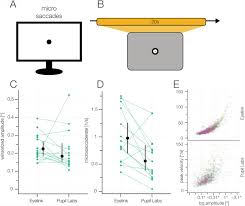 Below a description of a few typical and most widely used development components A New Comprehensive Eye Tracking Test Battery Concurrently Evaluating The Pupil Labs Glasses And The Eyelink 1000 Biorxiv
