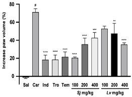 Image result for Sorindeia juglandifolia