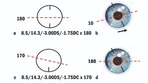 Grabbing trial contact lenses online. Optician