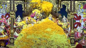 Mayapur kirtan mela 2019 day 2 hh radhanath swami. Sri Sri Radha Gopinath Pusya Abhishek Iskcon Chowpatty 31 Jan 2015 Youtube