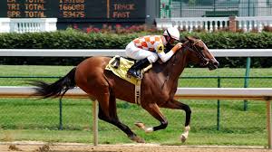 Download virtual horse racing 3d 1.0.7 apk. Download Horse Racing Games For Android Best Free Horse Racing Games Apk Mob Org