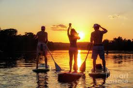 Maybe you would like to learn more about one of these? A Group Of Friends Silhouetted By The Sunset Exercise On Stand Up Paddle Boards On Lady Bird Lake In Austin Texas Photograph By Herronstock Prints