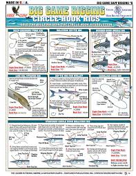 Bait Rigging And Knot Tying Techniques For Inshore