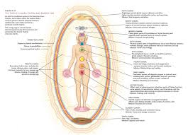 spiritual nutrition how food affects your mind body and spirit