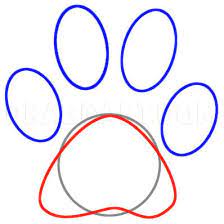 Delete the extra guidelines that we drew earlier. Draw A Paw Print Step By Step Drawing Guide By Dawn Dragoart Com