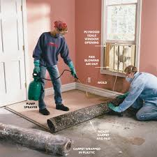 Mold Remediation How To Remove Mold Mold Remover Mold Remediation Cleaning Mold