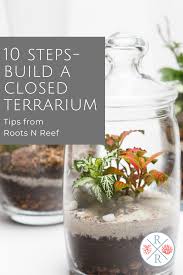10 Steps Build A Closed Terrarium Terrarium Terraria Tips 10 Things