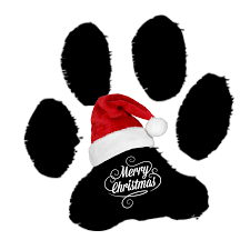 Our passionate team of fosters, volunteers and supporters devote their time and homes to ensure our pets receive the love and attention they deserve as they wait to be adopted. The 12 Paws Of Christmas Dog Adoption Cat Adoption Paws For Seniors From The Dog S Paw A Bloggery Of A Rescued Dog And Cat