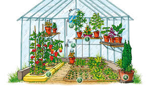 Greenhouse Blumat En Gewachshaus Gewachs Balkon Pflanzen