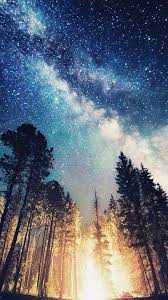 I Ve Been Running Through The Jungle I Ve Been Crying With The Wolfs 2 To Get To You Nature Wallpaper Beautiful Nature Galaxy Wallpaper