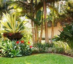 Full sun or artificial light watering: 18 Landscaping With Palm Trees Ideas Florida Landscaping Landscape Design Palm Trees Landscaping