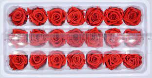 He came to delhi in the 15 th century and lived in the qutub complex premises during the rule of sikandar lodi. Diy Preserved Flowers 21pcs Lot Flowers 2 3cm Wholesale Immortal Red Rose Long Life Material Artificial Flower Flowers Artificial Flower Flowerflower Preserve Aliexpress