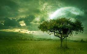 Google Image Result For Http Www Deviantart Com Download 112292828 Golden Dr Green Nature Why Do We Dream Scenery