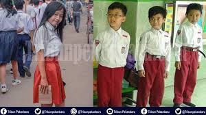 Perbedaan sekolah negeri, swasta, dan internasional. 15 000 Calon Peserta Didik Baru Masuk Sd Pada Ppdb 2019 Di Pekanbaru Silahkan Pilih Sekolah Terdekat Tribun Pekanbaru