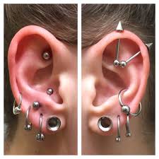 My Ears Conch Helix Fossa Antitragus Cartilage Lobe 2gauge Stretchedears Earproject Ear Piercing Body Jewelry Piercing Ear Piercings Body Jewelry