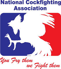 Pony drawing rooster, fighting rooster drawings, horse, game, mammal png. Funny Logo About Fake Cockfighting League Fighting Rooster Rooster Art Funny Logo