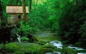 Choose from hundreds of free nature wallpapers. Beautiful Images Collection Free Desktop Wallpapers Pictures Photos High Resolution Nature Wallpapers Free High Resolution Images Pictures Photos