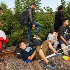Hungary's fertility rate is the primary cause of the population shrinking at only 1.49 births per woman. Money Now People Smugglers Conduct Brisk Business In Hungary Refugees The Guardian