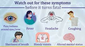 Mucormycosis can affect the lungs (pulmonary mucormycosis), most often when the pulmonary mucormycosis is often a rapidly progressive disease characterized by fever and a cough that does. Black Fungus Govt Shares Do S And Don Ts Amid Rise In Mucormycosis Cases In Covid Patients