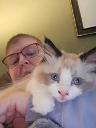 Moved Rascal to room 5, he's feeling at home